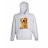 Φούτερ με στάμπα Golden Retriever Dog-A9083
