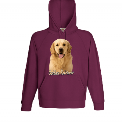 Golden Retriever Φούτερ με στάμπα 