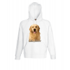 Φούτερ με στάμπα Golden Retriever Dog-A9083