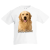 T-Shirt with print Golden Retriever-A9083