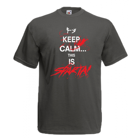 KEEP CALM AND THIS IS SPARTA!  Keep calm, Calm, School spirit days