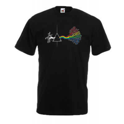 Pink Floyd Dark Side T-Shirt with print