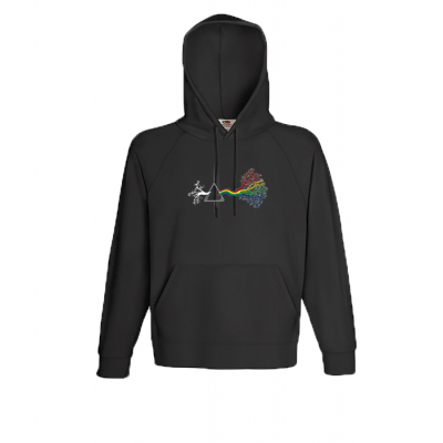 Pink Floyd Dark Side Hooded Sweatshirt  with print