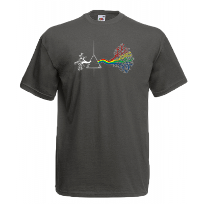 Pink Floyd Dark Side T-Shirt with print