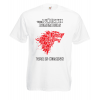 The North Remembers T-Shirt with print